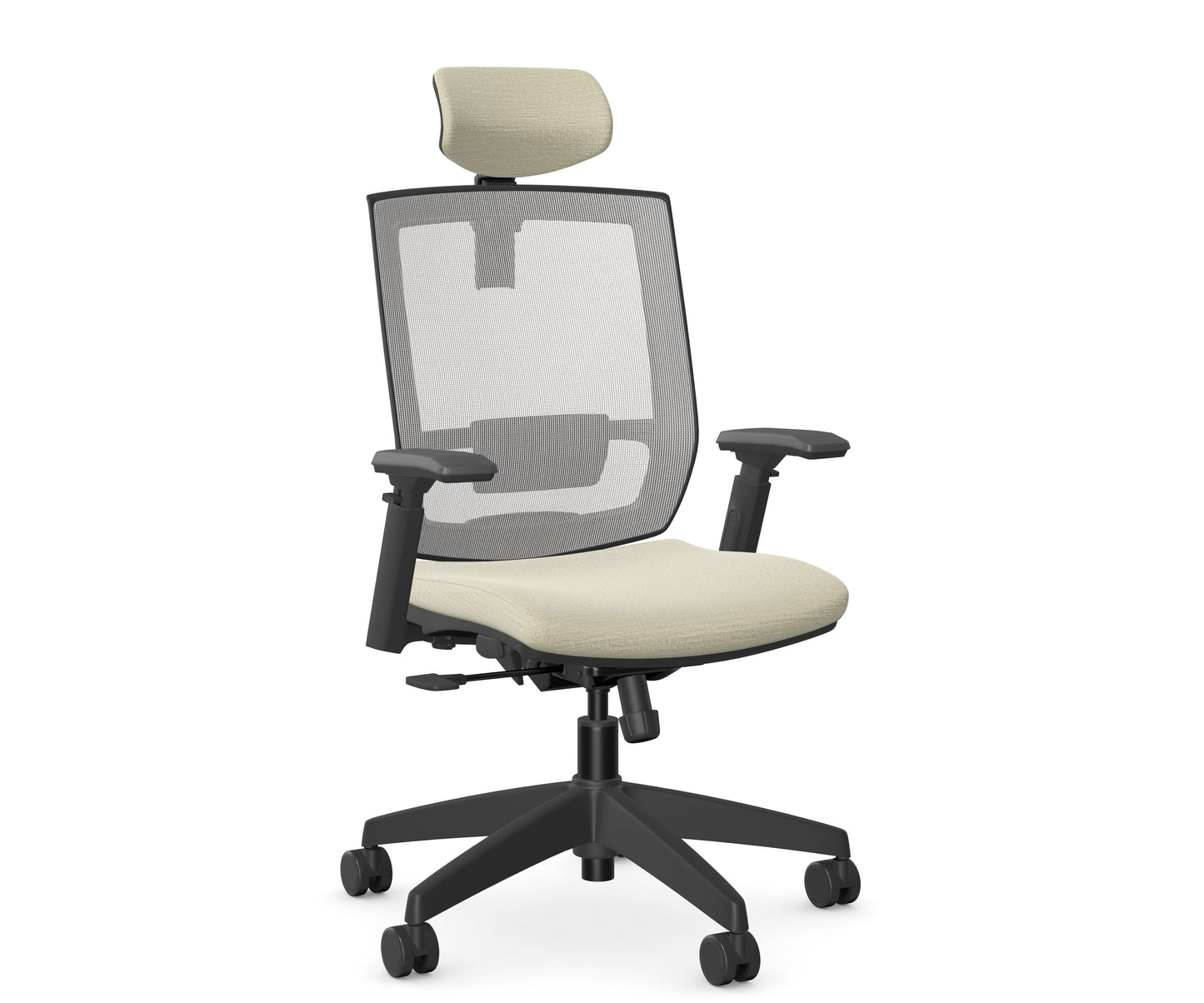Entail Mid-Back Ergonomic Office Chair With Headrest