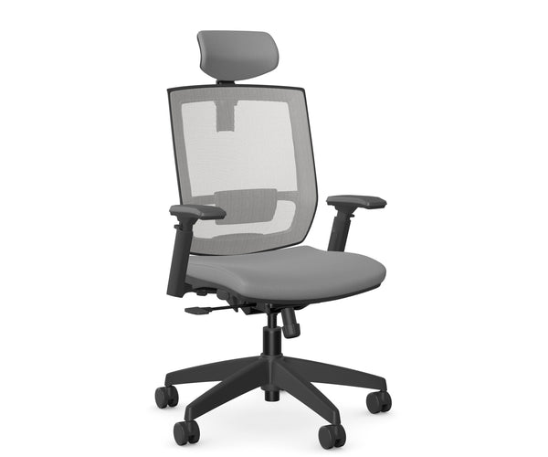 Entail Mid-Back Ergonomic Office Chair With Headrest