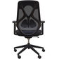 Roswell Black on Black Ergonomic Office Chair