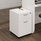 Kai 2 Drawer Mobile Pedestal